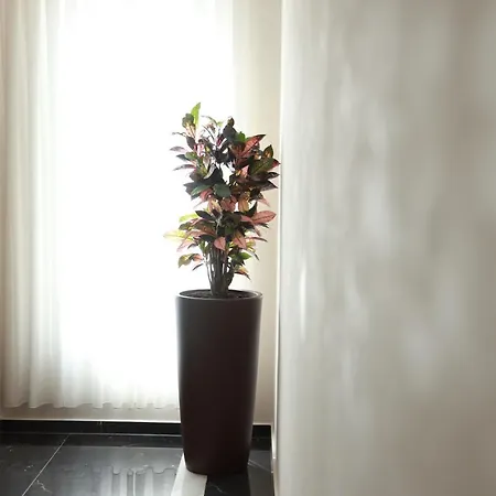 Baz'hur Boutique מלון 3*